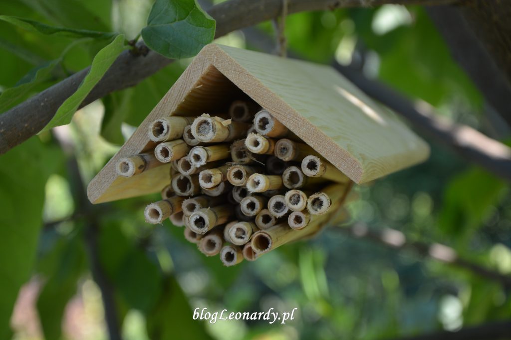 domek dla pszczół (2)